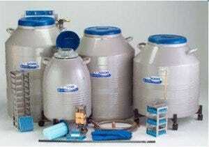 Insulated cryogenic containers for storage of cell samples