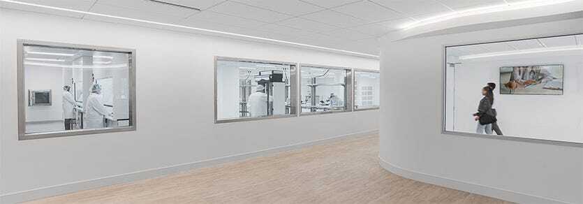 Cleanroom Window, Features, Styles, and Applications